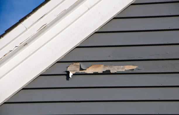 Professional Siding Installation in Lordship, CT